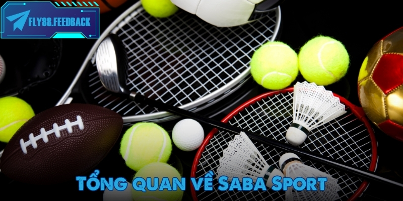 Saba Sport – Nền tảng cá cược thể thao trực tuyến hàng đầu 2025 Giao diện mục Saba Sport hiển thị kèo và tỷ lệ rõ ràng, dễ theo dõi